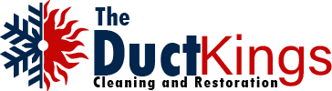 the duct kings logo the duct kings logo