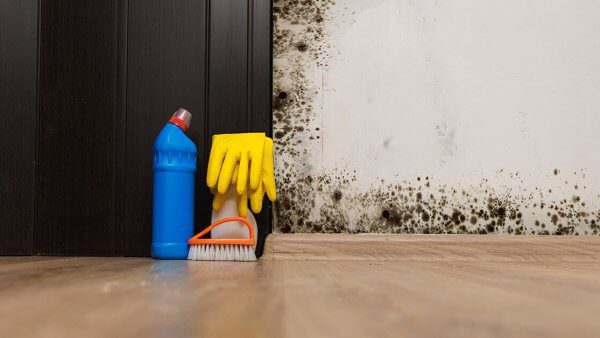 Can You Get Sick From Mold in Your House?