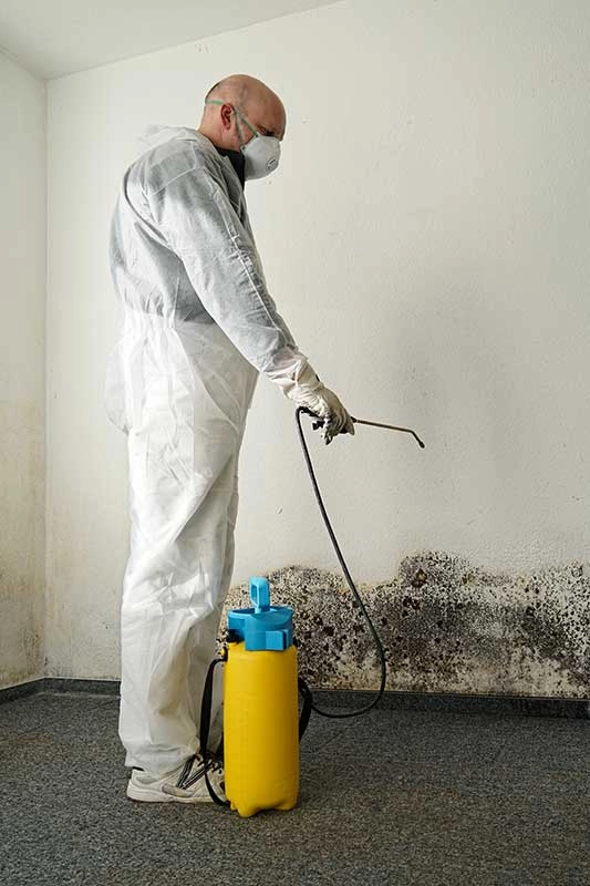 Mold Specialist