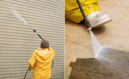 mold remediation services in commercial