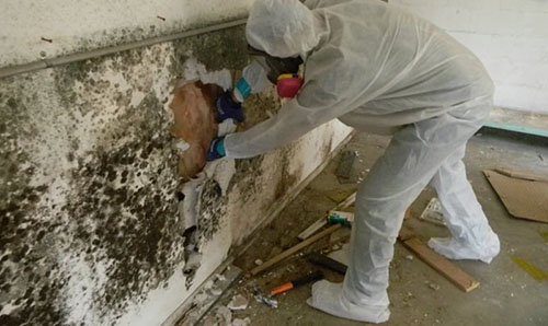 mold removal and clean up from residential property
