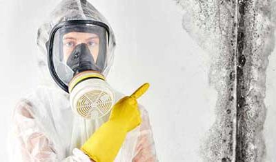 Can Mold Come Back After Remediation