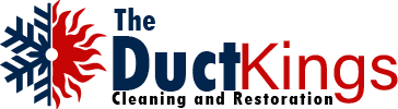 the duct kings logo the duct kings logo