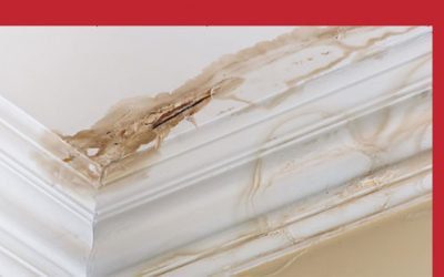 Water Damage Signs in Your Home