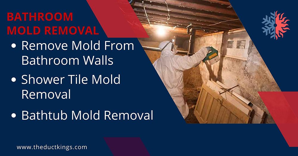 bathroom mold removal service