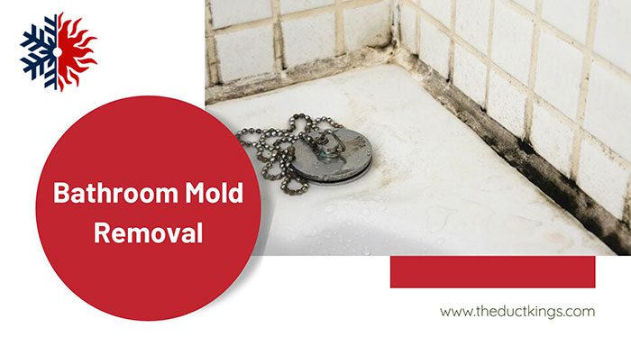 mold removal in shower