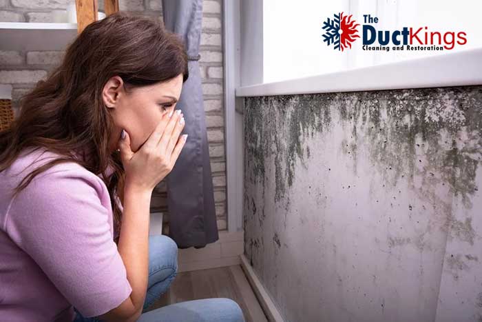 Health Risks with mold