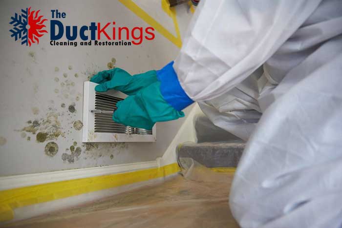 Photo of The Duct Kings professional HVAC team, trained in mold remediation.