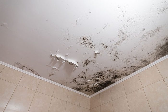 Early signs of ceiling mold in a home