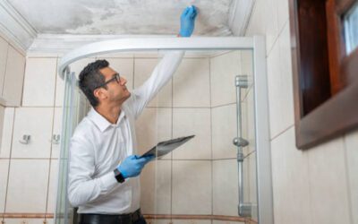 What Type of Mold is Dangerous?
